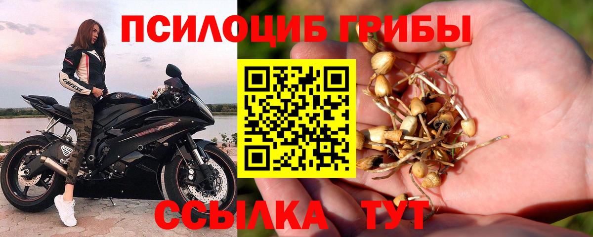 Псилоцибиновые грибы мухоморы  Вход с VPN  Междуреченск 